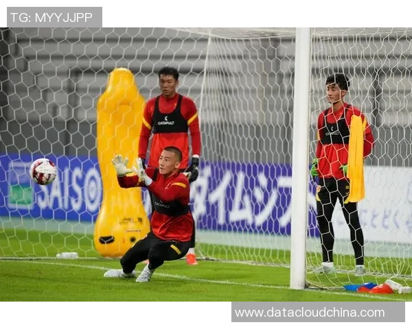 成都足球队转型之路揭秘：从低谷到冠军赛的奋斗历程与未来展望