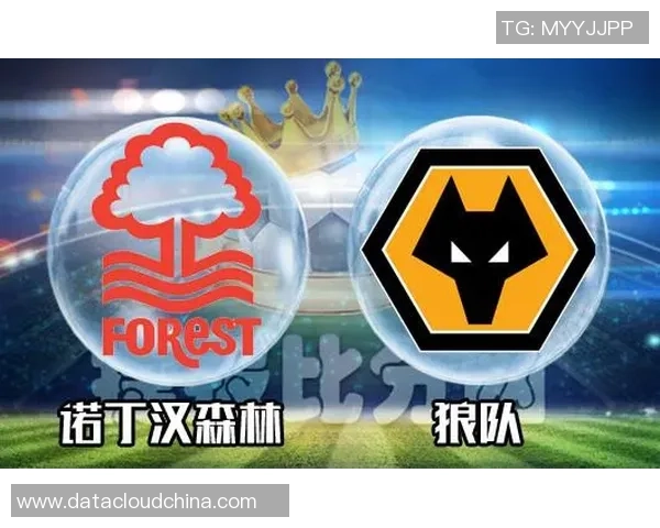 成都足球队在联合会杯中的状态表现分析与未来展望