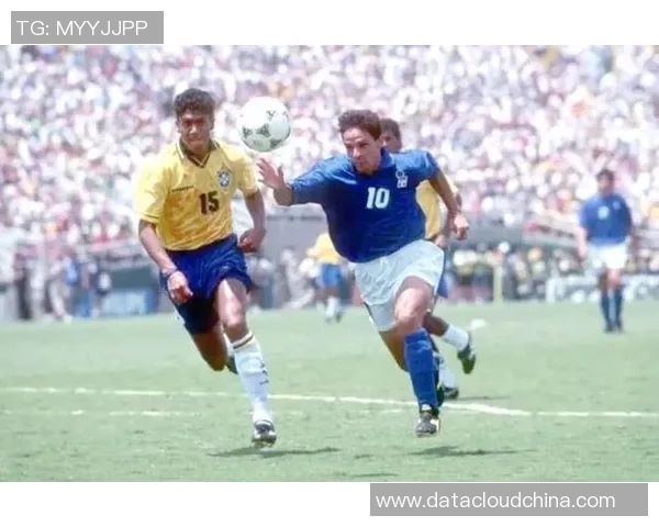 探寻55号足球明星的传奇故事与辉煌成就揭秘