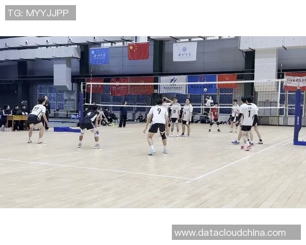 排球盛宴：深入解析西安排球队的战术思维与团队意识