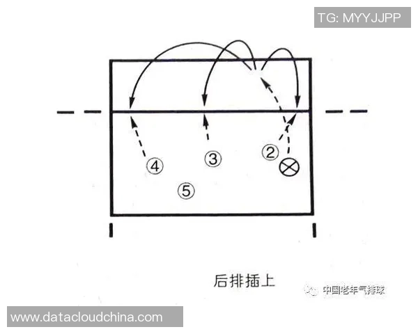 排球战术深度解析：上海排球队的成功之道与背后策略揭秘