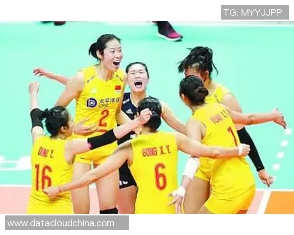 最新排球团队协作排行榜揭晓北京排球队表现卓越位居第一