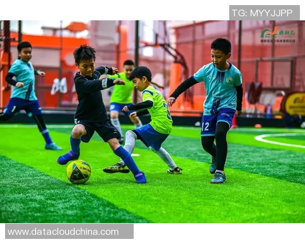 杨娜独家解析足球技巧与战术分享助你提升球场表现