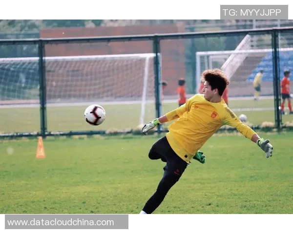 杨敏专访：追忆绿茵岁月与足球梦想的旅程